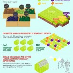 Čínský „indoor“ zemědělský průmysl – infografika