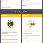 Ze života hmyzu… a jeho soužití s člověkem – Infografika