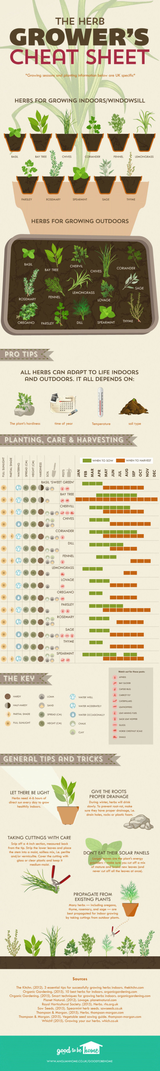 the-herb-growers-cheat-sheet-infographic