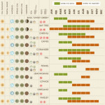 Jak na pěstování bylinek – Infografika