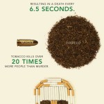 Kouření škodí zdraví… Fakt! – Infografika