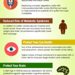 Zdraví prospěšné avokádo – infografika