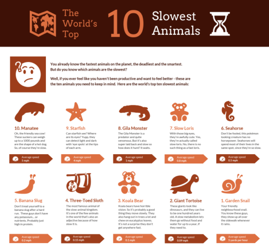 10 nejpomalejších zvířat na světě.
